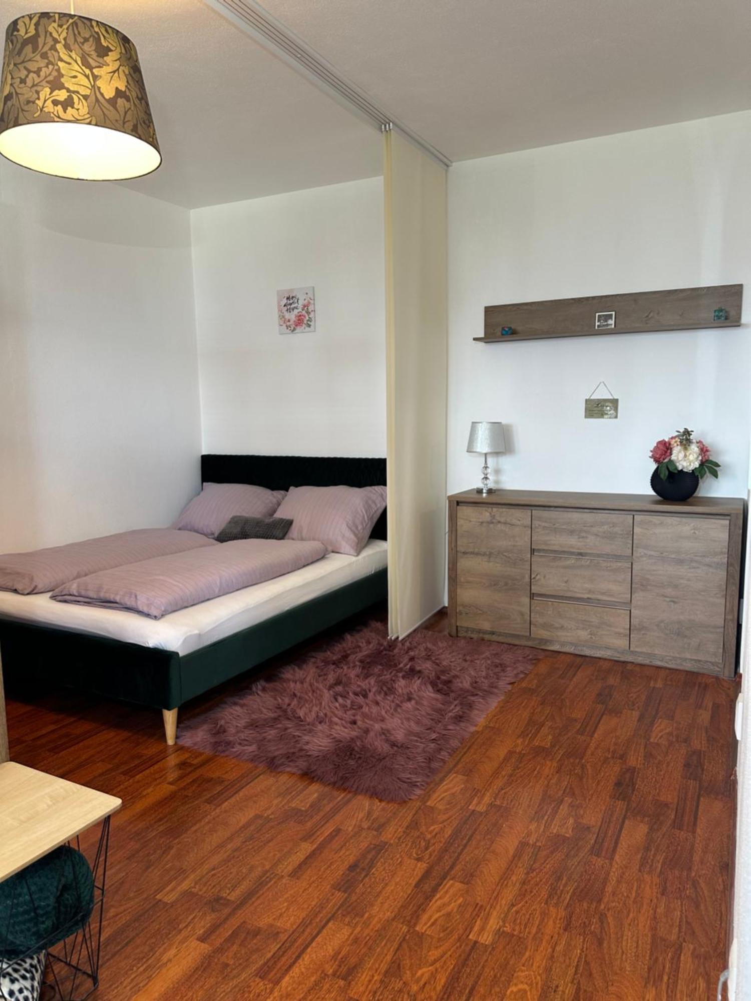 Cozy Apartment With Nice Balcony Seating, 9Th Floor, Parking 布拉迪斯拉发 外观 照片